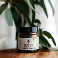 Eucalyptus Cneorifolia