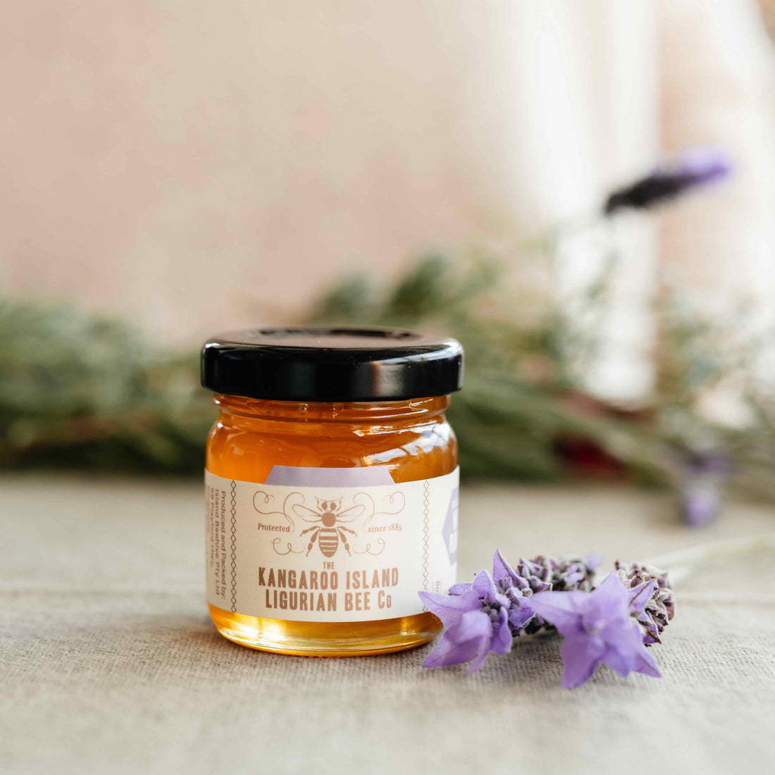 LIMITED EDITION: Wildflower - Organic