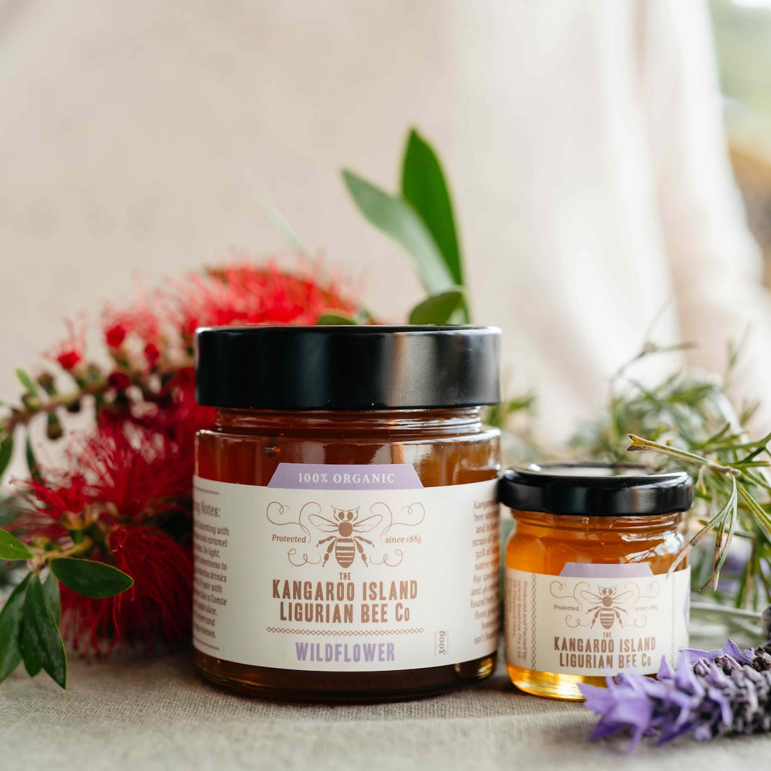 LIMITED EDITION: Wildflower - Organic