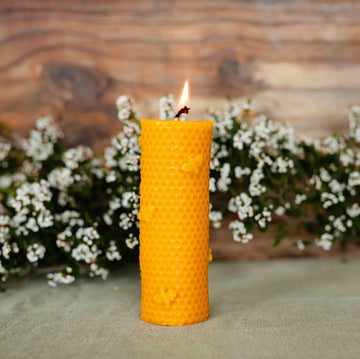 Beeswax Candle - Honeycomb with Bees