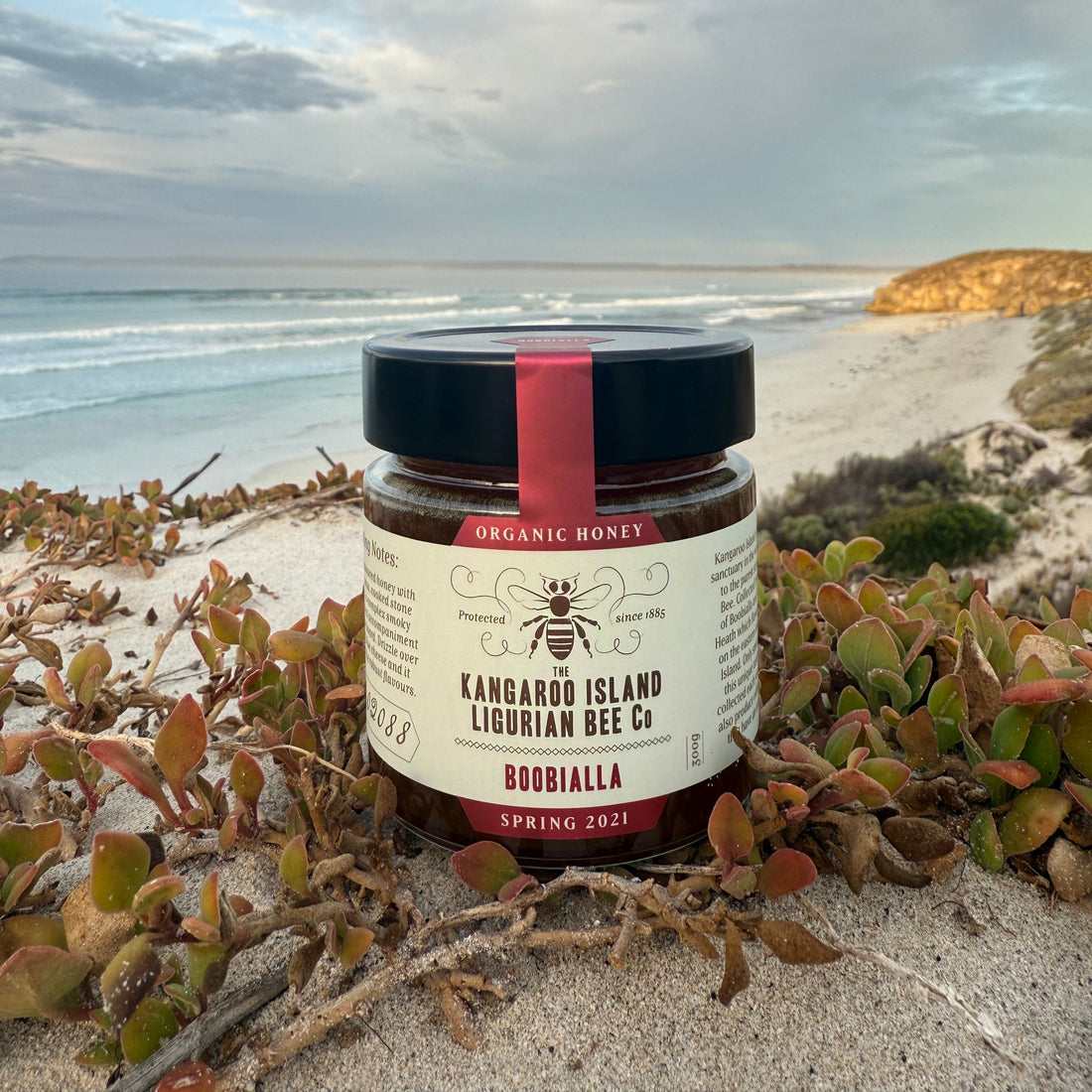 Boobialla Honey - Organic
