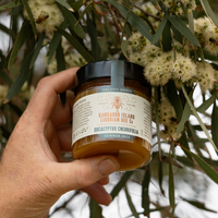 Eucalyptus Cneorifolia