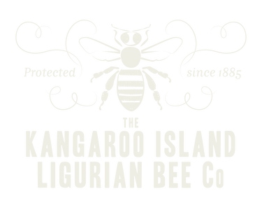Kangaroo Island Ligurian Bee Co