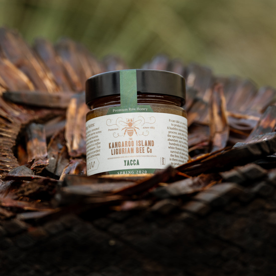 Yacca Honey