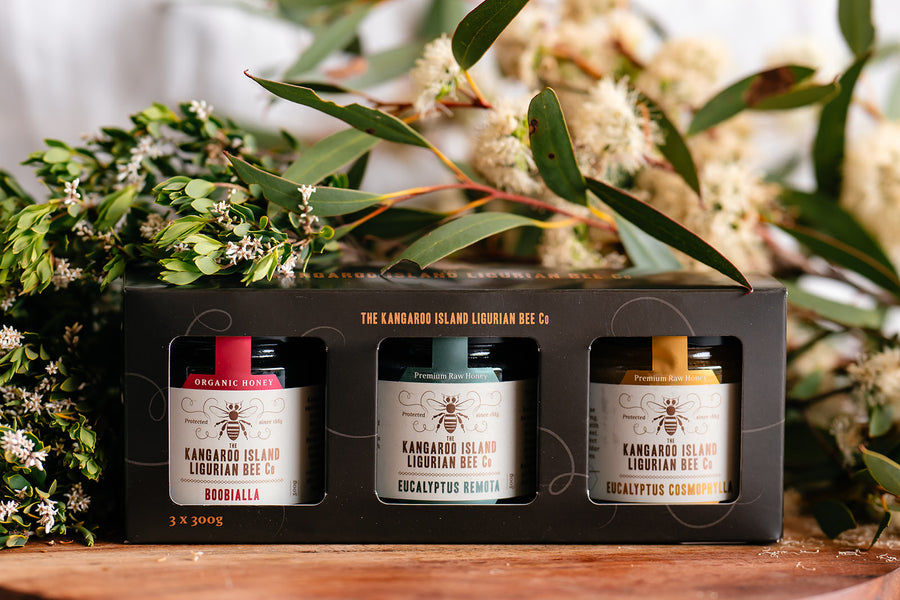 Honey Gift Box - Rare Collection